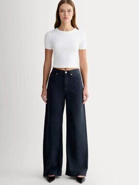 NWT Everlane 27R The Baggy Jean in Ink Wash